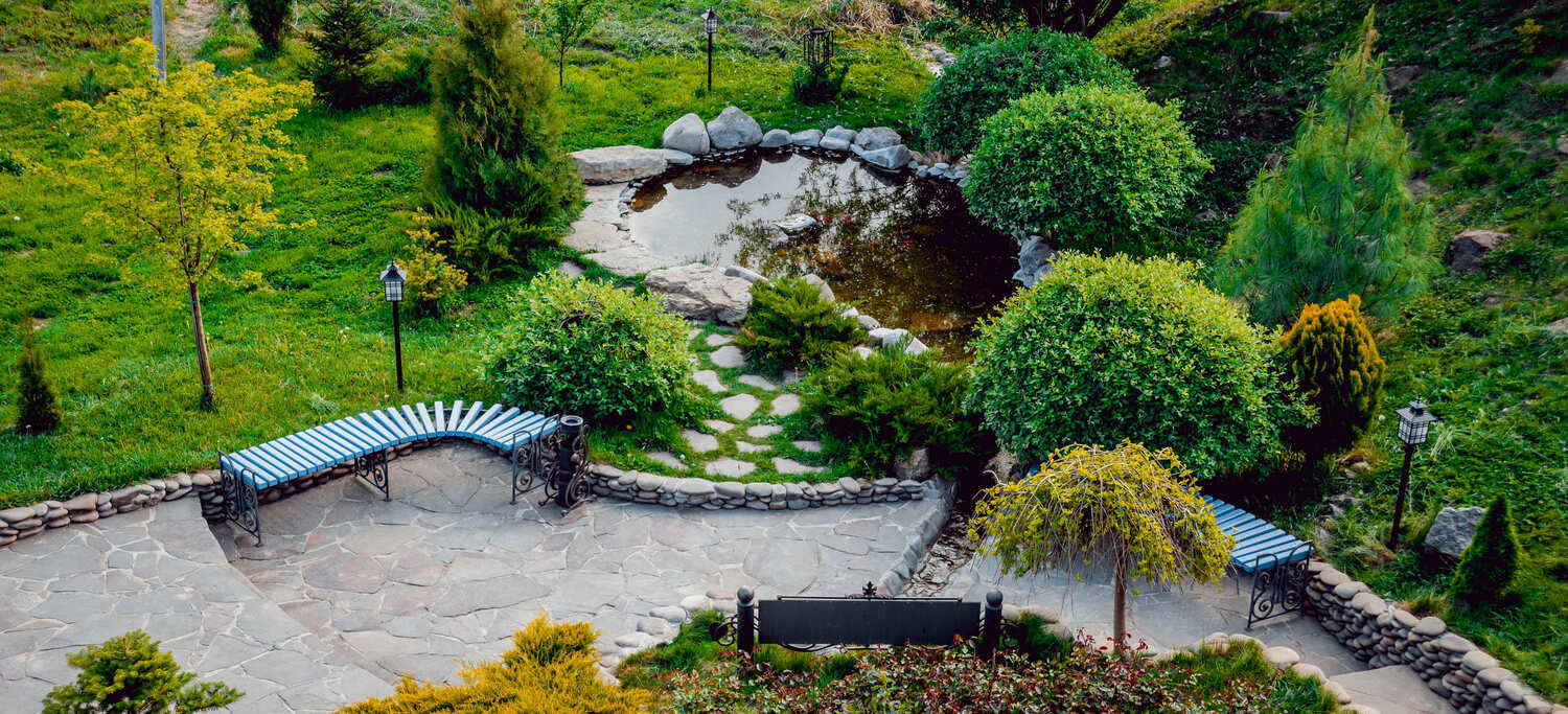 Pond