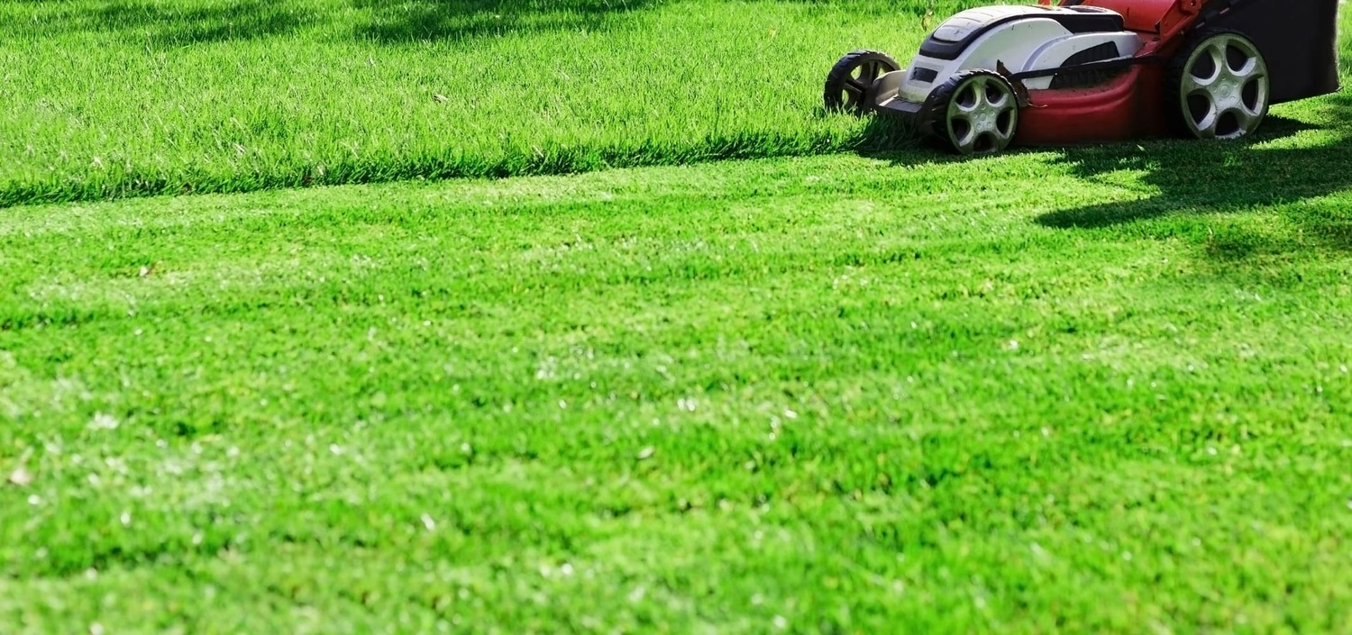Lawn
